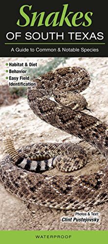 Snakes of South Texas