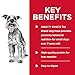 Hill's Science Diet Small & Mini, Senior Adult 7+, Small & Mini Breeds Senior Premium Nutrition, Wet Dog Food, Chicken & Barley Loaf, 5.8 oz Can, Case of 24