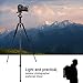BONFOTO B690A Lightweight Aluminum Tripod Portable Travel Camera Stand with 360 Degree Ball Head and Carry Bag, Tripods for Canon Nikon Sony DSLR