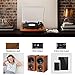 Record Player Turntable,Pareiko Vintage Vinyl Record Turntable Player,Bluetooth Record Player with Speaker,Vinyl to MP3 Recording ,RCA Output,3.5mm Aux Input,Headphone Jackthumb 3