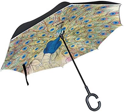 Sawhoon Paint Daisy Bird Reverse Umbrella for Car Travel Double-Layer Windproof Inverted Umbrella for Car Rain Outdoor Men Women with C-Shape Handle