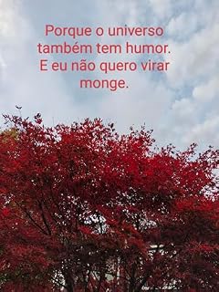 Livro Porque o universo também tem humor.: E não quero virar monge. (Mini guias de humor Livro 2)