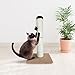 Downtown Pet Supply Small Cat Scratching Post with Mouse Cat Toy, 22