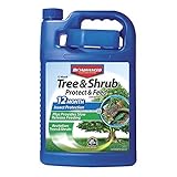 Bio Advanced 701615 12 Month Tree and Shrub Protect and Feed Concentrate, 1-Gallon