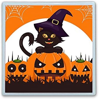 XIANN Care Contact Lens Box Holder Container Case Storage Eyecare Kit - Cat Pumpkins Witch Hat