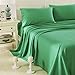 HONEYMOON HOME FASHIONS Brushed Microfiber Queen Bed Sheet Set, Turquoise