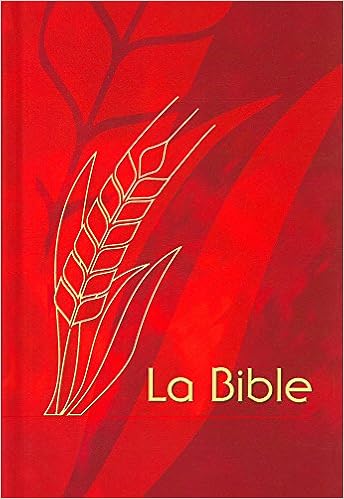 Bible Semeur 2000 Couverture Rigide Quadri Rouge French Edition Semeur Version 9782914144643 Amazon Com Books