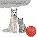 Dog Squeaky Toys Jakpak Durable Rubber Squeaky Ball for Dogs Non Toxic Silicone Chew Resistant Fun Toy with Quack Sound Floatable Dog's Sound Toy for Animal Training Biting Outside Playing,Red