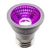 Apollo Horticulture Purple Reign 6W MR16 LED Grow Light Bulb for Plant Growing