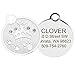 GoTags Designer Pet ID Tags in Stainless Steel for Dogs and Cats, Custom Engraved with 4 Lines of Personalized ID, Cute, Unique Pet Tags in Several Fun Designs