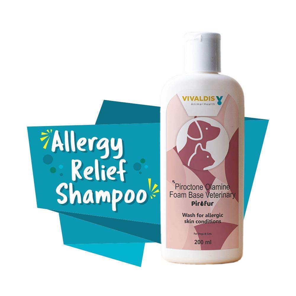anti allergy shampoo