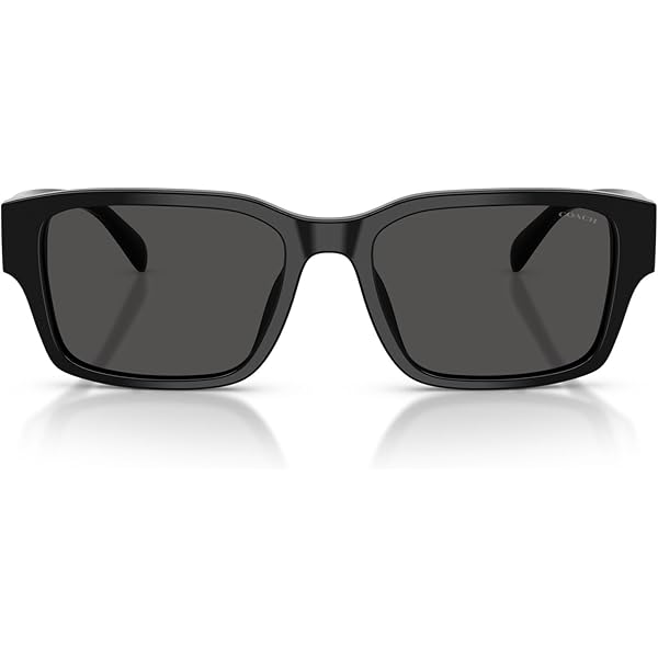 Amazon.com: Coach Sunglasses HC 8328 U 500287 C6196 Black Dark