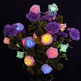 MEIHONG 20 LED Battery Operated String Flower Rose Fairy Light Wedding Room Garden Christmas Decor (colorful)