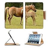 Apple iPad Mini 1st Generation Flip Case American paint mare and colt horse on a cattle ranch in the Umpqua Valley near Roseburg Oregon 34010657 by MSD Customized Premium Deluxe Pu Leather generation Accessories HD Wifi 16gb 32gb Luxury Protector Case