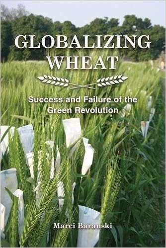 Globalizing Wheat Success And Failure Of The Green Revolution Baranski Marci 9781557538390 Amazon Com Books
