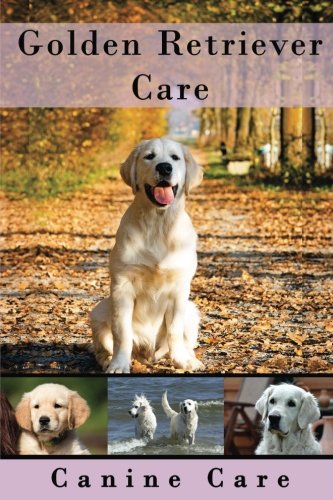 golden retriever care guide