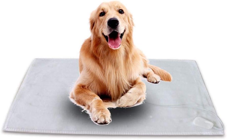 Which Is The Best Self Heating Cat Bed Silent