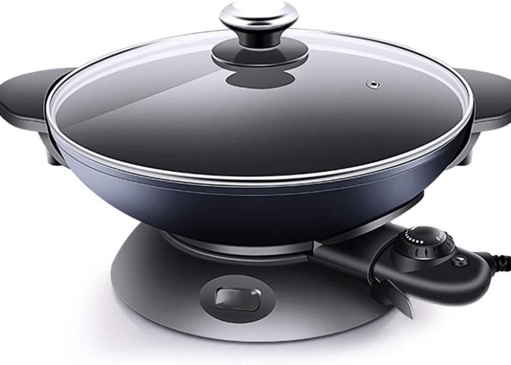 The 10 Best Aroma Electric Wok