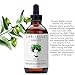 Laritelle Organic Hair Loss Prevention for Men and Women, Strengthening and Rejuvenating, Prevents Hair Shedding, Promotes Hair Growth, Rosemary, Ginger, Grapefruit, NO GMO, Vegan, 4 oz