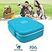 BentoRyte Bento Box with Accessories and Free eBook | Lunch Bento Boxes for Adults and Kids | Food Prep Containers for Your Toddler | Insulated Meal 5 Compartment Lunchbox with a Sauce Container