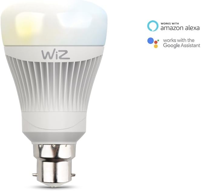 wiz google assistant