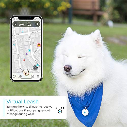 DOTT The Smart Dog Tag Bluetooth Tracker for Dogs and Cats, Pet