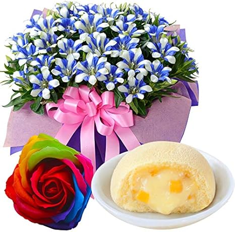 Amazon 敬老の日ギフト 9 13 9 17の間にお届け リンドウ白寿 4 5号 と月でひろった卵 観葉植物 オンライン通販