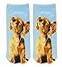 Zmart Women's Invisible Socks 3D Printed Cartoon Animal Dog Patterns Anklet Hosiery,Multicoloured,US 5-9