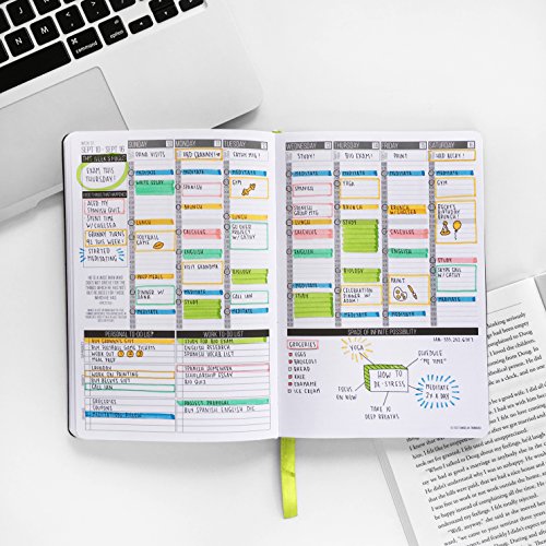 Passion Planner Classic Size (A4 8.5"x11") (Undated Sunday Timeless