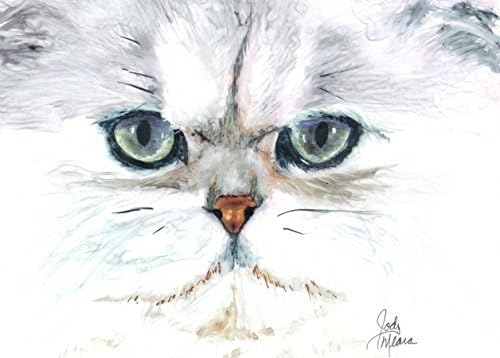 Rainbow Card Company LC170SG 20 x 30 in. Stretched Canvas Sabago