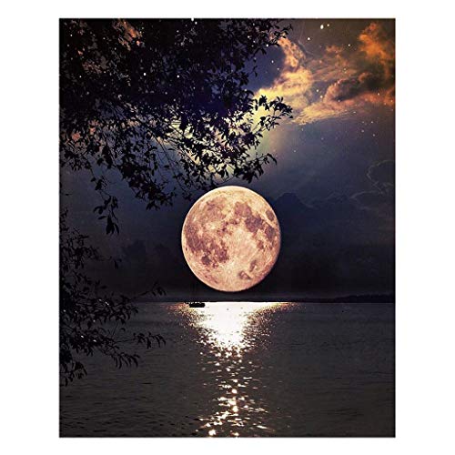 FILOL 5D DIY Moon Pattern Diamond Painting Kit, Full Rhinestone Diamond Embroidery Rhinestone Cross Stitch Arts Craft Supply for Home Wall Decor Living Room Bedroom (B)
