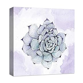 for Living Room Bedroom Home Artwork Paintings Succulent