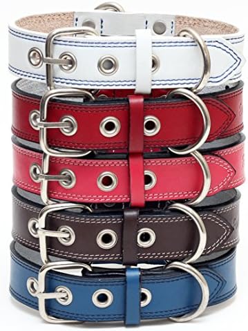 Premium Leather Collars with Stainless Steel Buckles (18"-21", Chocolate)