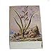 Decorative Mini Bontanical Floral Matchbox Set of 6 Matches for Candle and Fireplace Wood Matchesthumb 4