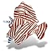 Wild Republic Lionfish Plush, Stuffed Animal, Plush Toy, Gifts for Kids, Sea Critters 8