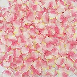 CODE FLORIST 2200 PCS Silk Flower Rose Petals for