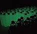 purifyou Premium Glass Water Bottle with Silicone Sleeve and Stainless Steel Lid, 12/32 oz (Glow in The Dark, 12 oz)
