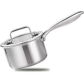 MOUTIUS 1 Quart Triple Stainless Steel Saucepan with Lid, Ramen Pot with Clear Glass Cover, Small Sauce Pan for Cooking Oatmeal, Induction-Ready, Dishwasher-Safe, Suitable for All Stoves