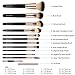 COLOLLINE Makeup Brushes Set 12pcs Soft Synthetic Hair and Nature Bristles Professional Makeup Artist Brush Tool Kit
