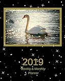 2019 Weekly and Monthly Planner: White Swan Daily Organizer -To Do -Calendar in Review/Monthly Calendar with U.S. Holidays-Notes Volume 43 by All In A Day