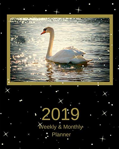 2019 Weekly and Monthly Planner: White Swan Daily Organizer -To Do -Calendar in Review/Monthly Calendar with U.S. Holidays-Notes Volume 43 by All In A Day