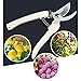 LetsFunny Gardening Pruning Shears Hand Pruner with Straight Stainless Steel Blades (Milk white)