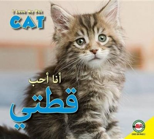 Kishkish The Big Bad Cat Level 9 Collins Big Cat Arabic Reading Programme Sheila Bird Paperback
