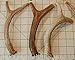 3 Pack Small Deer Antler Dog Chews - 5 Inches to 10 Inches - for Small Dogs - Big Dog Antler Chews