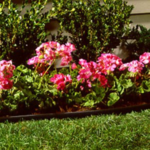 SUNCAST Lawn Edging, 60-Feet, Black