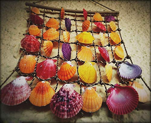 6 Seashells+Starfish+Decorations+FishTank+Supplies
