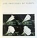 Life Processes of Plants (Scientific American Library)