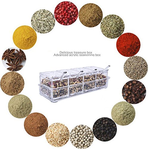 Clear Seasoning Rack Spice Pots by AIQI - 4 Piece Acrylic Seasoning Box - Storage Container Condiment Jars - Cruet with Cover and Spoon