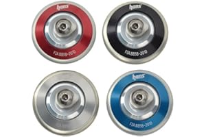 Simpson AK 1132.12S HANS Device Pro Series Post Anchor Kit Silver, Pair of Helmet Anchors