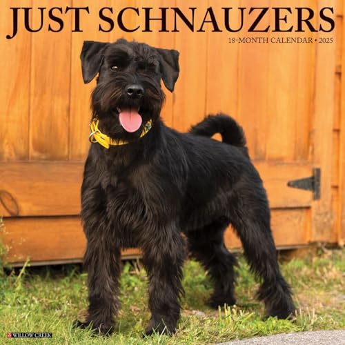 Just Schnauzers 2025 12" x 12" Wall Calendar